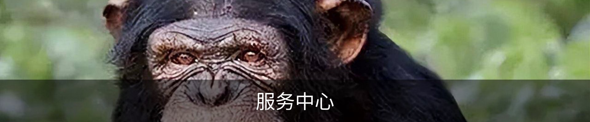 服务中心